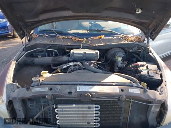 ✅ 1997 Dodge 1500 • VIN: 1B7HC13YXVJ586953 • Lot: 43641900. Wystawiony na IAAI z przebiegiem 198 114 mil. Bezpłatny archiwum sprzedaży aukcyjnych z USA i szczegółowy raport historii pojazdu na DreamBid. Zdjęcie 10.