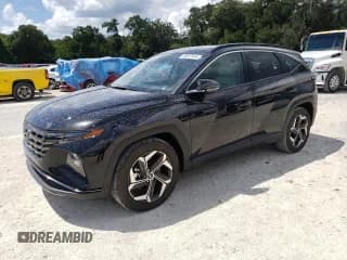 ✅ 2024 Hyundai Tucson Limited • VIN: 5NMJE3DE9RH397248 • Lot: 68812644. Wystawiony na Copart z przebiegiem 1 517 mil. Bezpłatny archiwum sprzedaży aukcyjnych z USA i szczegółowy raport historii pojazdu na DreamBid. Zdjęcie 1.