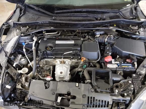 ✅ 2014 Honda Accord EX-L • VIN: 1HGCR2F8XEA299799 • Lot: 43404990. Listed on IAAI with 93,143 mi. Free auction sales archive from the USA and detailed vehicle history report at DreamBid. Image 10.