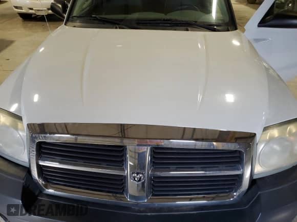 2007 Dodge Dakota ST z VIN 1D7HW22K17S119031, wystawiony jako Copart lot #50786795 z przebiegiem 117 147 mil mil oraz Szkoda całkowita • Salvage title. Historia ofert i sprzedaży dostępna na DreamBid. Obrazek 11.