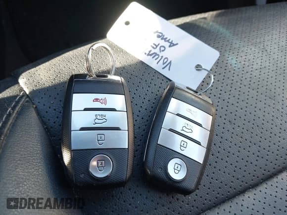 ✅ 2017 Kia Sorento EX • VIN: 5XYPHDA55HG305430 • Lot: 43434371. Wystawiony na IAAI z przebiegiem 133 923 mil. Bezpłatny archiwum sprzedaży aukcyjnych z USA i szczegółowy raport historii pojazdu na DreamBid. Zdjęcie 11.