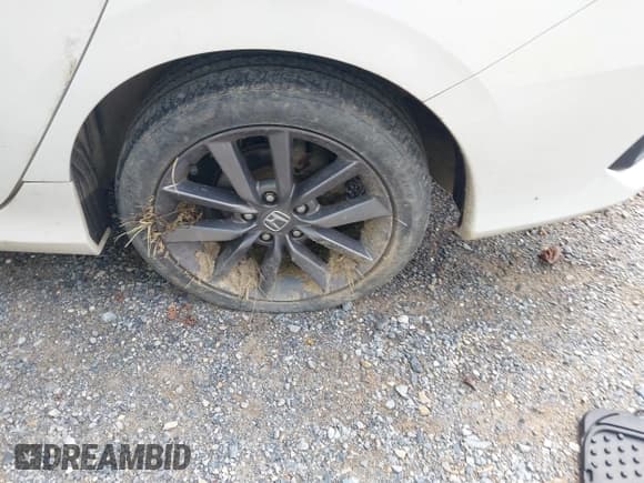 ✅ 2021 Honda Civic EX-L • VIN: 19XFC1F77ME202164 • Lot: 42727770. Listed on IAAI with 61,699 mi. Free auction sales archive from the USA and detailed vehicle history report at DreamBid. Image 12.