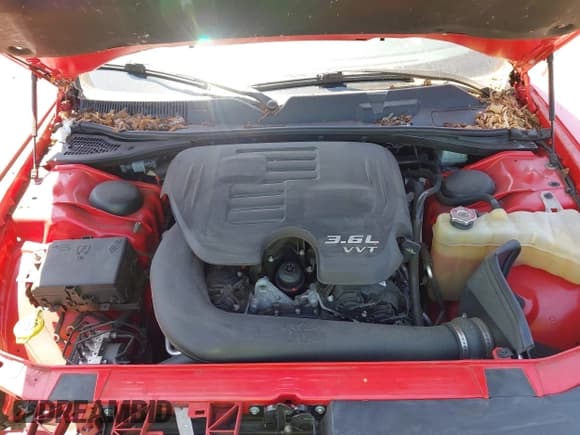 ✅ 2018 Dodge Challenger SXT • VIN: 2C3CDZAG4JH263143 • Lot: 42765510. Wystawiony na IAAI z przebiegiem 55 846 mil. Bezpłatny archiwum sprzedaży aukcyjnych z USA i szczegółowy raport historii pojazdu na DreamBid. Zdjęcie 10.