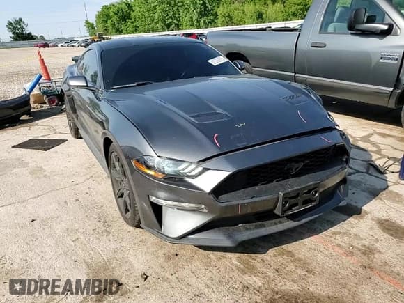 ✅ 2019 Ford Mustang EcoBoost • VIN: 1FA6P8TH8K5118816 • Lot: 57570375. Wystawiony na Copart z przebiegiem 45 582 mil. Bezpłatny archiwum sprzedaży aukcyjnych z USA i szczegółowy raport historii pojazdu na DreamBid. Zdjęcie 13.