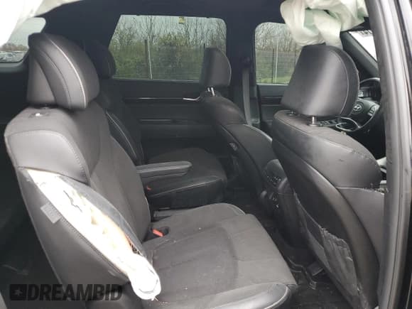 ✅ 2024 Hyundai Palisade Calligraphy • VIN: KM8R7DGE7RU685692 • Лот: 81528914. Опубликован ранее на Copart с пробегом 30 736 миль. Бесплатный доступ к архиву аукционных продаж из США и подробный отчёт об истории автомобиля на DreamBid. Изображение 11.