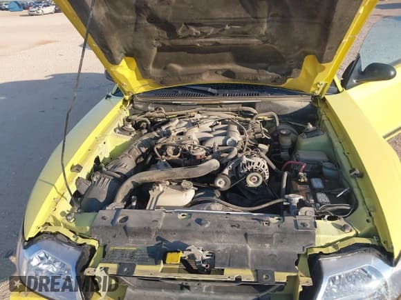 ✅ 2003 Ford Mustang Standard • VIN: 1FAFP40453F394201 • Lot: 43087438. Listed on IAAI with 172,769 mi. Free auction sales archive from the USA and detailed vehicle history report at DreamBid. Image 10.