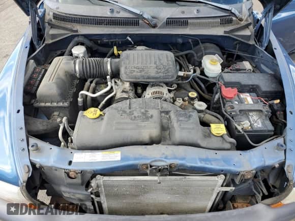 2004 Dodge Dakota with VIN 1D7GL12K84S676674, listed as a Copart auction lot 70167545 with 62,177 mi miles and Salvage title. Bid and sale history available at DreamBid. Image 11.