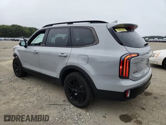 ✅ 2024 Kia Telluride EX X-Line • VIN: 5XYP3DGC3RG460239 • Lot: 80366055. Wystawiony na Copart z przebiegiem 13 978 mil. Bezpłatny archiwum sprzedaży aukcyjnych z USA i szczegółowy raport historii pojazdu na DreamBid. Zdjęcie 2.