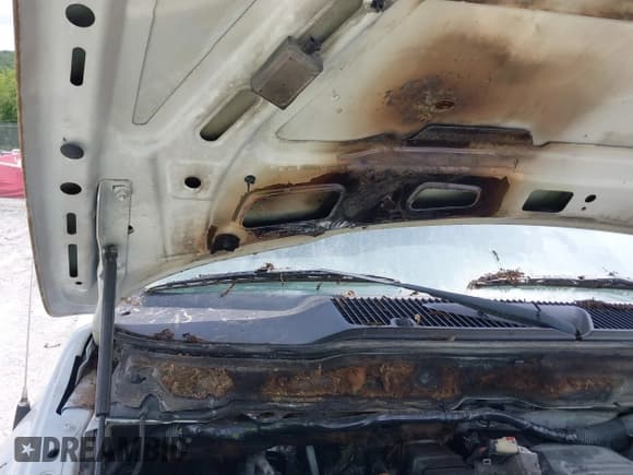 ✅ 2009 Dodge 2500 SLT • VIN: 3D7KS28L89G532303 • Лот: 42448581. Опубликован ранее на IAAI с пробегом 213 897 миль. Бесплатный доступ к архиву аукционных продаж из США и подробный отчёт об истории автомобиля на DreamBid. Изображение 6.