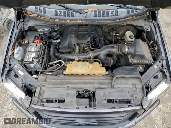 ✅ 2016 Ford F-150 XL • VIN: 1FTEX1CP3GFC13239 • Лот: 95156205. Опубликован ранее на Copart с пробегом 228 034 миль. Бесплатный доступ к архиву аукционных продаж из США и подробный отчёт об истории автомобиля на DreamBid. Изображение 11.