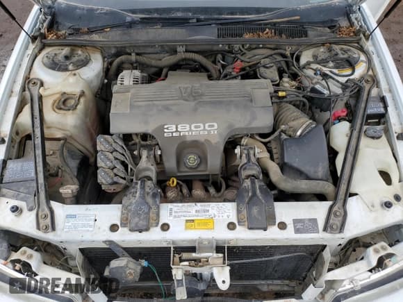 ✅ 1996 Buick Regal Custom • VIN: 2G4WB52KXT1423138 • Lot: 81386304. Listed on Copart with 54,142 mi. Free auction sales archive from the USA and detailed vehicle history report at DreamBid. Image 11.