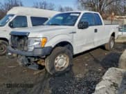 ✅ 2011 Ford F-150 XLT • VIN: 1FTFX1EF1BFC07599 • Lot: 96803035. Listed on Copart with 258,404 mi. Free auction sales archive from the USA and detailed vehicle history report at DreamBid. Image 1.