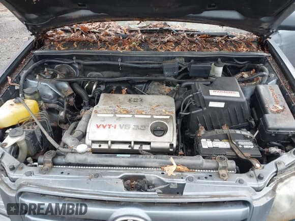 ✅ 2005 Toyota Highlander • VIN: JTEEP21A750099830 • Lot: 43804112. Listed on IAAI with 174,337 mi. Free auction sales archive from the USA and detailed vehicle history report at DreamBid. Image 10.