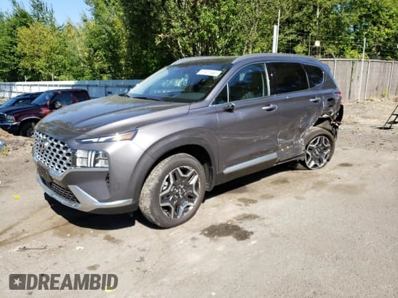 ✅ 2021 Hyundai Santa Fe SEL Premium • VIN: KM8S3DA16MU003400 • Lot: 61931463. Wystawiony na Copart z przebiegiem 22 719 mil. Bezpłatny archiwum sprzedaży aukcyjnych z USA i szczegółowy raport historii pojazdu na DreamBid. Zdjęcie 1.