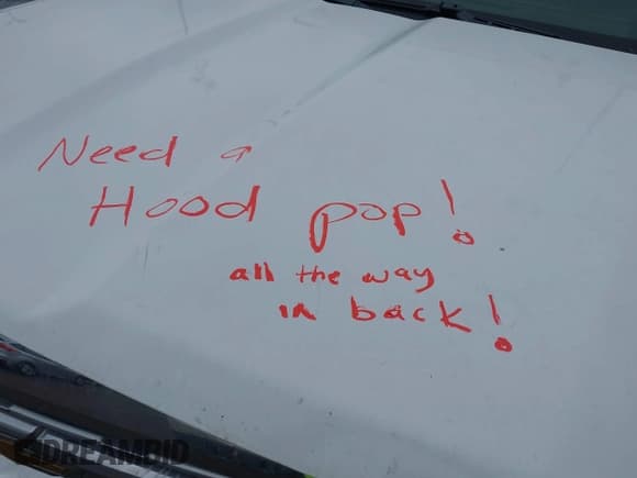 ✅ 2018 Chevrolet Silverado 2500HD Work Truck • VIN: 1GC2CUEG2JZ298724 • Lot: 41429359. Wystawiony na IAAI z przebiegiem Nie podano. Bezpłatny archiwum sprzedaży aukcyjnych z USA i szczegółowy raport historii pojazdu na DreamBid. Zdjęcie 19.