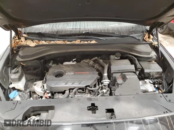 ✅ 2019 Hyundai Santa Fe Ultimate • VIN: 5NMS5CAA1KH057992 • Lot: 37349674. Wystawiony na Copart z przebiegiem 97 783 mil. Bezpłatny archiwum sprzedaży aukcyjnych z USA i szczegółowy raport historii pojazdu na DreamBid. Zdjęcie 12.