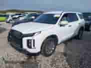 2025 Hyundai Palisade SEL z VIN KM8R2DGE7SU833358, wystawiony jako IAAI lot #43581897 z przebiegiem 31 129 mil mil oraz . Historia ofert i sprzedaży dostępna na DreamBid. Obrazek 2.