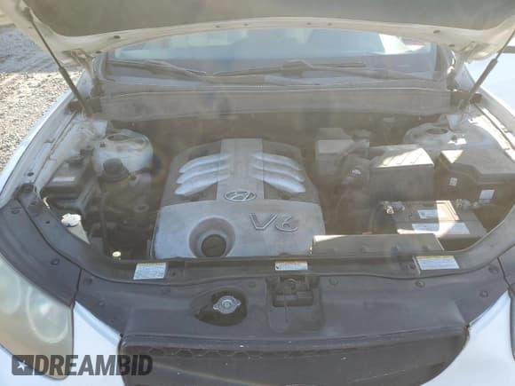 ✅ 2007 Hyundai Santa Fe SE • VIN: 5NMSH13EX7H003772 • Lot: 82485334. Listed on Copart with 185,833 mi. Free auction sales archive from the USA and detailed vehicle history report at DreamBid. Image 13.