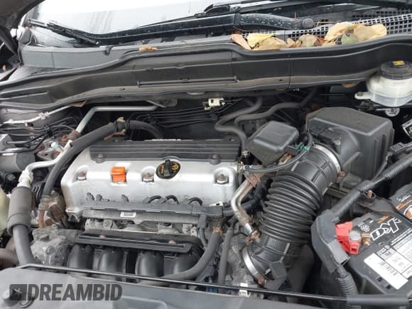 ✅ 2010 Honda CR-V EX • VIN: 5J6RE4H52AL059142 • Lot: 43449911. Wystawiony na IAAI z przebiegiem 153 806 mil. Bezpłatny archiwum sprzedaży aukcyjnych z USA i szczegółowy raport historii pojazdu na DreamBid. Zdjęcie 10.