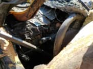 ✅ 2009 Jaguar XF • VIN: SAJXA07C491R16099 • Lot: 69256995. Wystawiony na Copart z przebiegiem Nie podano. Bezpłatny archiwum sprzedaży aukcyjnych z USA i szczegółowy raport historii pojazdu na DreamBid. Zdjęcie 9.