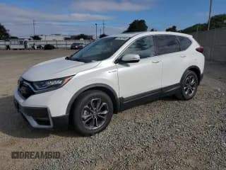 ✅ 2020 Honda CR-V EX-L • VIN: 7FART6H80LE021680 • Lot: 81927645. Wystawiony na Copart z przebiegiem 53 075 mil. Bezpłatny archiwum sprzedaży aukcyjnych z USA i szczegółowy raport historii pojazdu na DreamBid. Zdjęcie 1.
