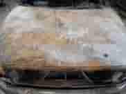 1999 Dodge 1500 с VIN 1B7HC13Z6XJ522310, выставлен на аукционе Copart как лот 85038594 с пробегом Не указан миль и На запчасти • Non repairable. История ставок и продаж доступна на DreamBid. Изображение 11.