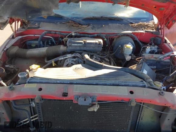 ✅ 2001 Dodge 1500 • VIN: 3B7HC13Z71M285062 • Lot: 43466827. Listed on IAAI with 191,276 mi. Free auction sales archive from the USA and detailed vehicle history report at DreamBid. Image 10.