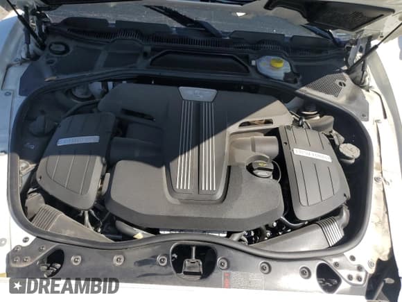 ✅ 2015 Bentley Continental GT • VIN: SCBFH7ZA8FC045608 • Lot: 49875985. Listed on Copart with 28,260 mi. Free auction sales archive from the USA and detailed vehicle history report at DreamBid. Image 13.