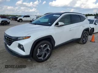 ✅ 2022 Hyundai Tucson Limited • VIN: KM8JECA19NU013131 • Lot: 73008404. Wystawiony na Copart z przebiegiem Nie podano. Bezpłatny archiwum sprzedaży aukcyjnych z USA i szczegółowy raport historii pojazdu na DreamBid. Zdjęcie 1.