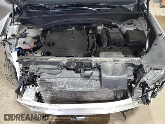 ✅ 2023 Hyundai Santa Fe SEL • VIN: 5NMS2DAJ5PH559345 • Lot: 64142665. Wystawiony na Copart z przebiegiem 53 349 mil. Bezpłatny archiwum sprzedaży aukcyjnych z USA i szczegółowy raport historii pojazdu na DreamBid. Zdjęcie 12.