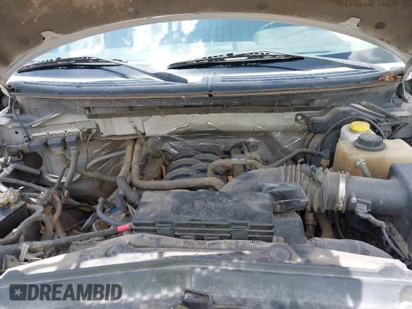 ✅ 2014 Ford F-150 XL • VIN: 1FTFW1EF9EFC08796 • Лот: 42531658. Опубликован ранее на IAAI с пробегом 242 354 миль. Бесплатный доступ к архиву аукционных продаж из США и подробный отчёт об истории автомобиля на DreamBid. Изображение 10.