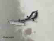 2014 Hyundai Accent GS z VIN KMHCT5AE5EU170717, wystawiony jako IAAI lot #43089589 z przebiegiem 109 181 mil mil oraz . Historia ofert i sprzedaży dostępna na DreamBid. Obrazek 12.