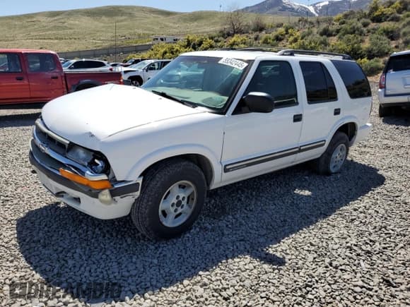 ✅ 2000 Chevrolet Blazer LS • VIN: 1GNDT13W8YK147172 • Lot: 55342445. Wystawiony na Copart z przebiegiem 203 825 mil. Bezpłatny archiwum sprzedaży aukcyjnych z USA i szczegółowy raport historii pojazdu na DreamBid. Zdjęcie 1.