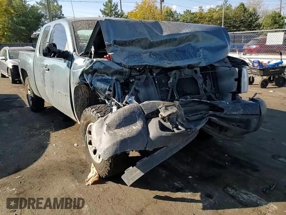 ✅ 2009 Chevrolet Silverado 1500 Work Truck • VIN: 1GCEK19069Z219403 • Lot: 74729834. Listed on Copart with 137,025 mi. Free auction sales archive from the USA and detailed vehicle history report at DreamBid. Image 10.