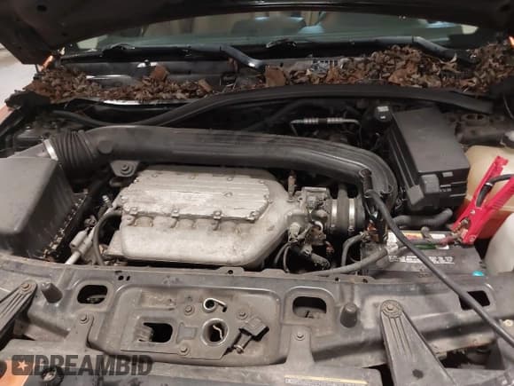 ✅ 2006 Saturn VUE • VIN: 5GZCZ63446S822185 • Lot: 41809976. Wystawiony na IAAI z przebiegiem 186 063 mil. Bezpłatny archiwum sprzedaży aukcyjnych z USA i szczegółowy raport historii pojazdu na DreamBid. Zdjęcie 10.