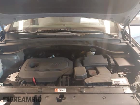 ✅ 2018 Hyundai Santa Fe 2.4L • VIN: 5NMZUDLB2JH072593 • Лот: 42846562. Опубликован ранее на IAAI с пробегом 56 789 миль. Бесплатный доступ к архиву аукционных продаж из США и подробный отчёт об истории автомобиля на DreamBid. Изображение 10.