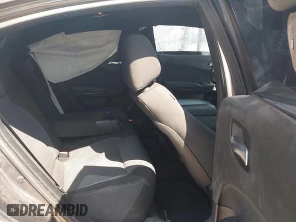 ✅ 2018 Dodge Charger SXT • VIN: 2C3CDXBGXJH307424 • Lot: 43186191. Wystawiony na IAAI z przebiegiem 144 528 mil. Bezpłatny archiwum sprzedaży aukcyjnych z USA i szczegółowy raport historii pojazdu na DreamBid. Zdjęcie 8.