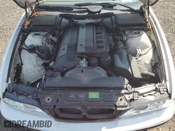 ✅ 1999 BMW 5 Series 528i • VIN: WBADP6334XBV61092 • Lot: 66859295. Wystawiony na Copart z przebiegiem 236 502 mil. Bezpłatny archiwum sprzedaży aukcyjnych z USA i szczegółowy raport historii pojazdu na DreamBid. Zdjęcie 11.