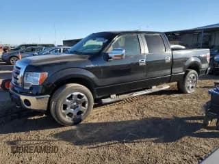 ✅ 2009 Ford F-150 XL • VIN: 1FTPW14V49FA60270 • Lot: 92099365. Listed on Copart with 216,291 mi. Free auction sales archive from the USA and detailed vehicle history report at DreamBid. Image 1.