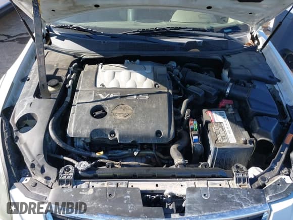 ✅ 2008 Nissan Maxima SE • VIN: 1N4BA41E18C817839 • Lot: 42909610. Listed on IAAI with 135,547 mi. Free auction sales archive from the USA and detailed vehicle history report at DreamBid. Image 10.