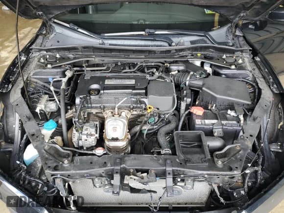 ✅ 2016 Honda Accord Sport • VIN: 1HGCR2E59GA012995 • Lot: 55934985. Listed on Copart with 150,015 mi. Free auction sales archive from the USA and detailed vehicle history report at DreamBid. Image 11.