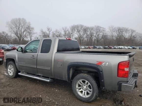✅ 2009 Chevrolet Silverado 1500 • VIN: 2GCEK390291109209 • Lot: 85750784. Wystawiony na Copart z przebiegiem 182 343 mil. Bezpłatny archiwum sprzedaży aukcyjnych z USA i szczegółowy raport historii pojazdu na DreamBid. Zdjęcie 2.