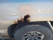 ✅ 2003 Chevrolet Silverado 1500 LS • VIN: 2GCEC19XX31393503 • Lot: 41872530. Listed on IAAI with 392,529 mi. Free auction sales archive from the USA and detailed vehicle history report at DreamBid. Image 12.