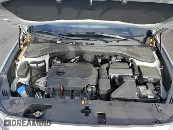 ✅ 2019 Hyundai Santa Fe SE • VIN: 5NMS2CAD2KH117328 • Lot: 38864413. Wystawiony na Copart z przebiegiem 40 968 mil. Bezpłatny archiwum sprzedaży aukcyjnych z USA i szczegółowy raport historii pojazdu na DreamBid. Zdjęcie 13.