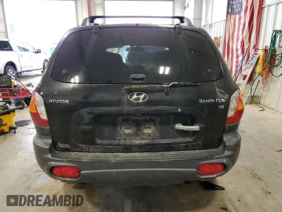 2003 Hyundai Santa Fe GLS с VIN KM8SC13D83U566100, выставлен на аукционе Copart как лот 47193955 с пробегом 166 060 миль миль и На запчасти • Non repairable. История ставок и продаж доступна на DreamBid. Изображение 6.