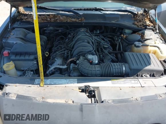 ✅ 2005 Dodge Magnum RT • VIN: 2D4GV58275H546898 • Lot: 43174413. Listed on IAAI with 174,771 mi. Free auction sales archive from the USA and detailed vehicle history report at DreamBid. Image 10.