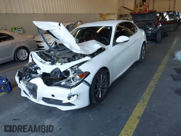 ✅ 2017 Alfa Romeo Giulia • VIN: ZARFAEDN7H7554073 • Lot: 43455026. Listed on IAAI with 123,777 mi. Free auction sales archive from the USA and detailed vehicle history report at DreamBid. Image 2.
