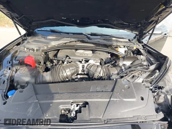 ✅ 2024 Ford Mustang Dark Horse • VIN: 1FA6P8R06R5503819 • Lot: 41252143. Listed on IAAI with 3,603 mi. Free auction sales archive from the USA and detailed vehicle history report at DreamBid. Image 10.