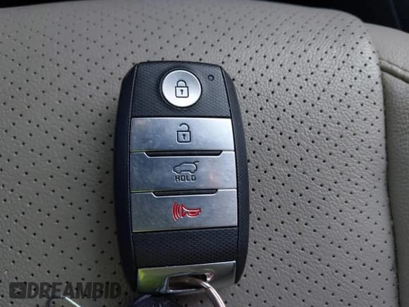 ✅ 2017 Kia Sorento LX • VIN: 5XYPGDA3XHG266996 • Lot: 42970028. Wystawiony na IAAI z przebiegiem 115 361 mil. Bezpłatny archiwum sprzedaży aukcyjnych z USA i szczegółowy raport historii pojazdu na DreamBid. Zdjęcie 11.