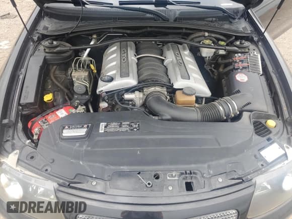 ✅ 2005 Pontiac GTO • VIN: 6G2VX12U25L432867 • Lot: 54624315. Listed on Copart with 51,449 mi. Free auction sales archive from the USA and detailed vehicle history report at DreamBid. Image 11.